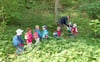 Kinder aus der Allstedter Awo-Kita Rotkäppchen erlebten im vergangenen Jahr schon eine Walderlebnbistour.