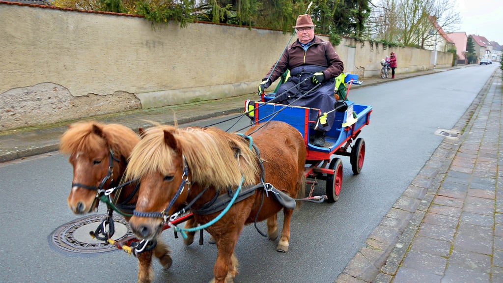 Am Freitagnachmittag (17. März) war der Büster Günter Kirchner (80) wieder mit seinen Shetlandponys in Bismark unterwegs.