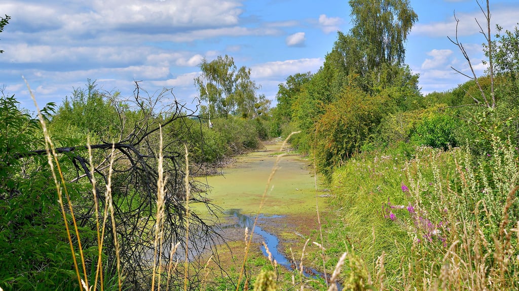 Der Drömling wird auch als das Land der Tausend Gräben bezeichnet. Wasser spielt hier eine große Rolle.