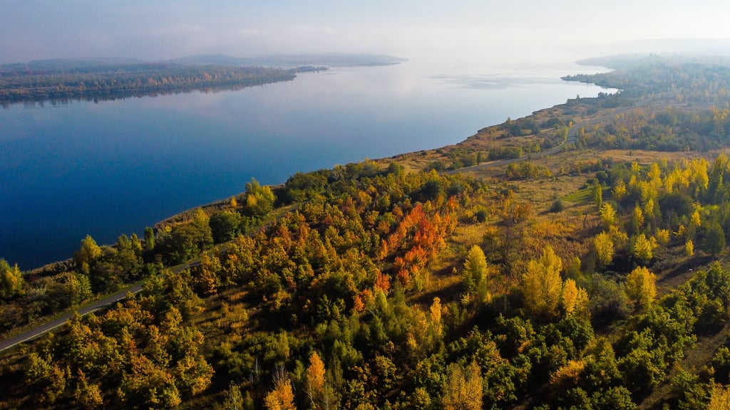Der Geiseltalsee ist zu einem Naturparadies geworden und wurde deshalb zum "Lebendigen See 2023" gewählt.