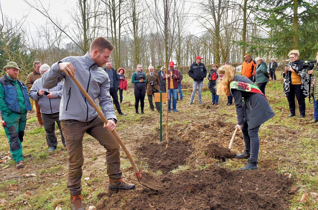 Am Tag des Waldes wurde am Jugendwaldheim Wildenstall der Baum des Jahres 2023 gepflanzt – eine Moorbirke.