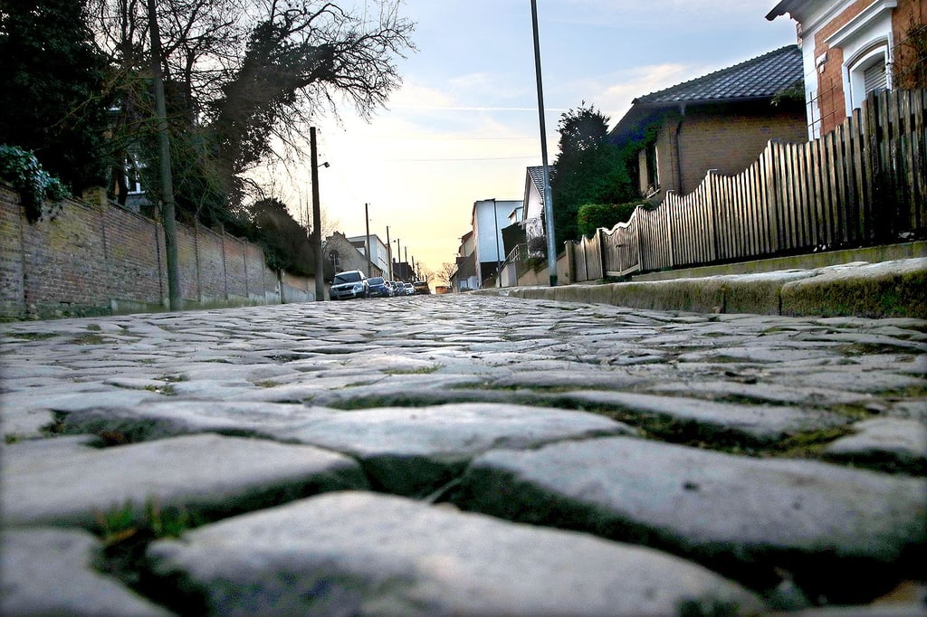 Gestiegene Kosten für die maschinelle Straßenreinigung will die Stadtverwaltung Calbe an den Bürger weitergeben. Dazu liegt den Stadträten eine Beschlussvorlage vor.