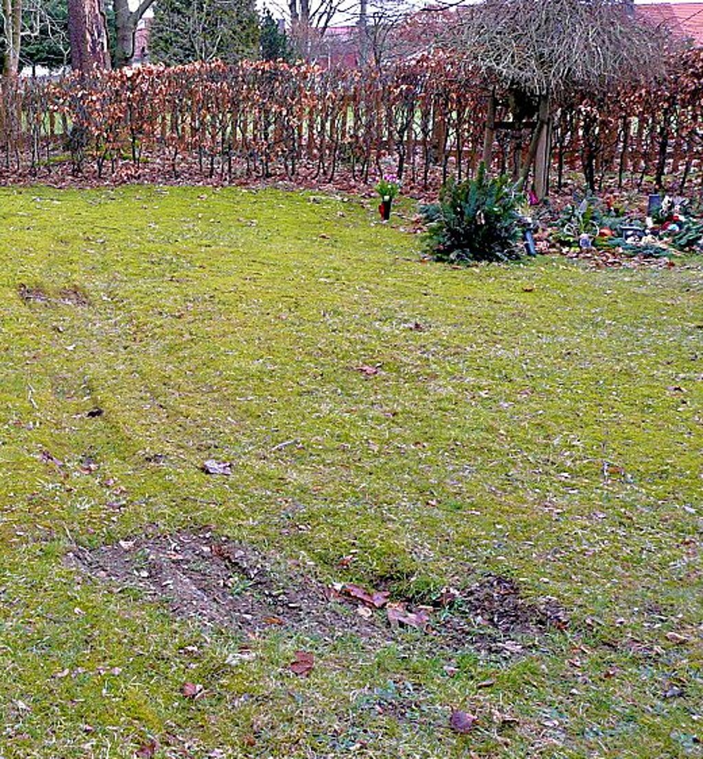 Auf der grünen Wiese auf Benneckensteins Friedhof soll bald wieder Ordnung herrschen.