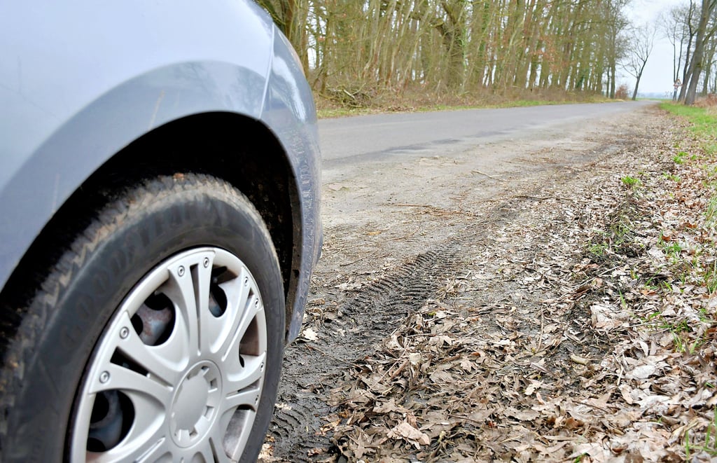 Die Verbindungsstraße von Binde nach Mechau ist sehr marode. Die Fahrbahn ist uneben, an den Seiten bröckelt Bitumen und die Randstreifen sind unbefestigt sowie stark zerfahren. 