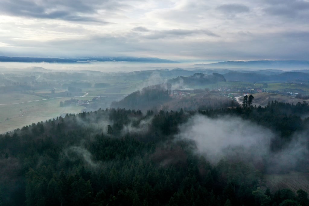 Nebel liegt über dem Wald bei Obereisenbach im Allgäu. Böden und Pflanzen speichern CO2 - es ist natürlicher Klimaschutz.