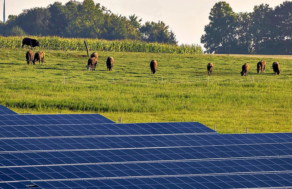 Weitere Photovoltaik-Anlagen sind in der Gemeinde Möser geplant.