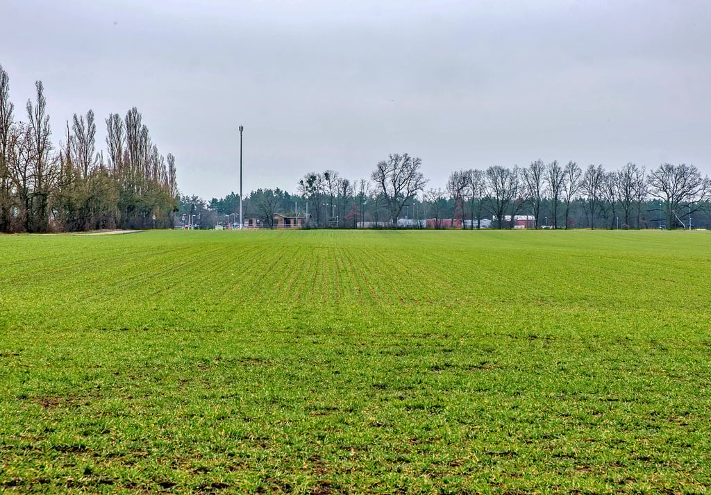 Nach etlichen Anläufen stehen auf der Stadtratssitzung in Coswig nun die Pläne der Enerparc GmbH zur Entscheidung an. Das Hamburger Unternehmen möchte auf diesen Ackerflächen in Klieken nördlich der B 187 eine 50 Hektar große Photovoltaik-Anlage entstehen lassen.