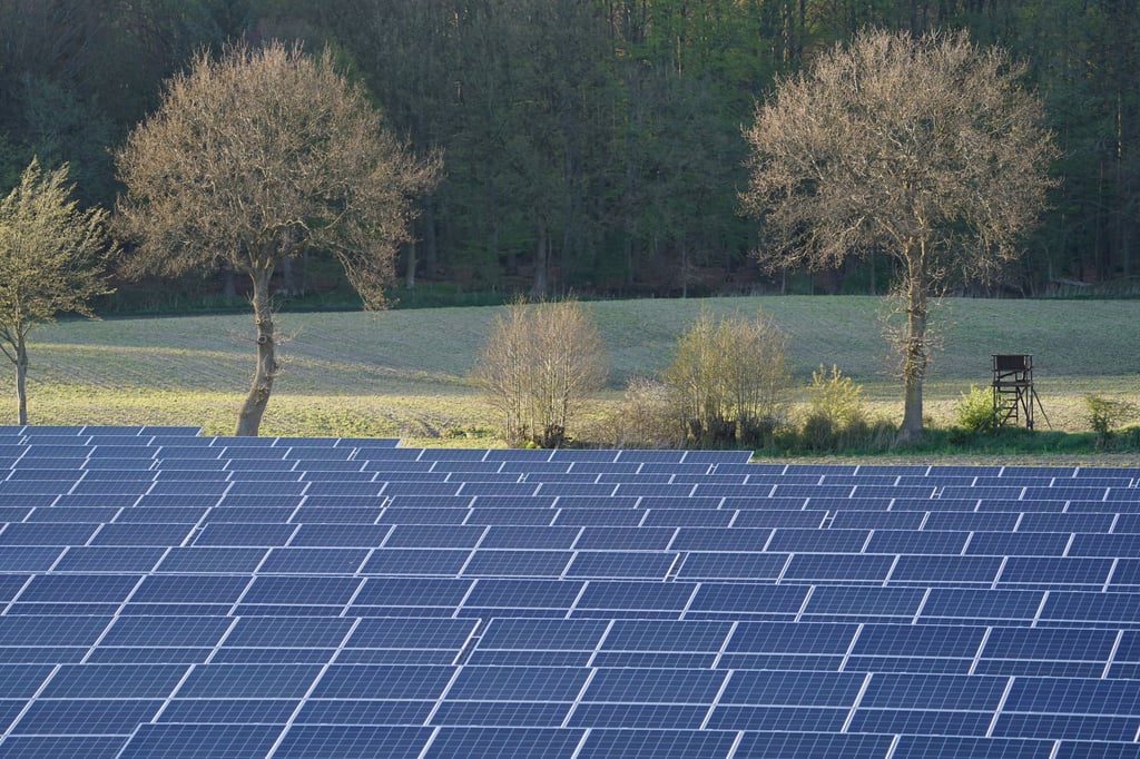 Die Bürgerbefragung in Satuelle hat zu einem klaren Ergebnis geführt. Die Anwohner vom Ortsteil von Haldensleben wollen keinen Solarpark in einer Größe von 185 Hektar.