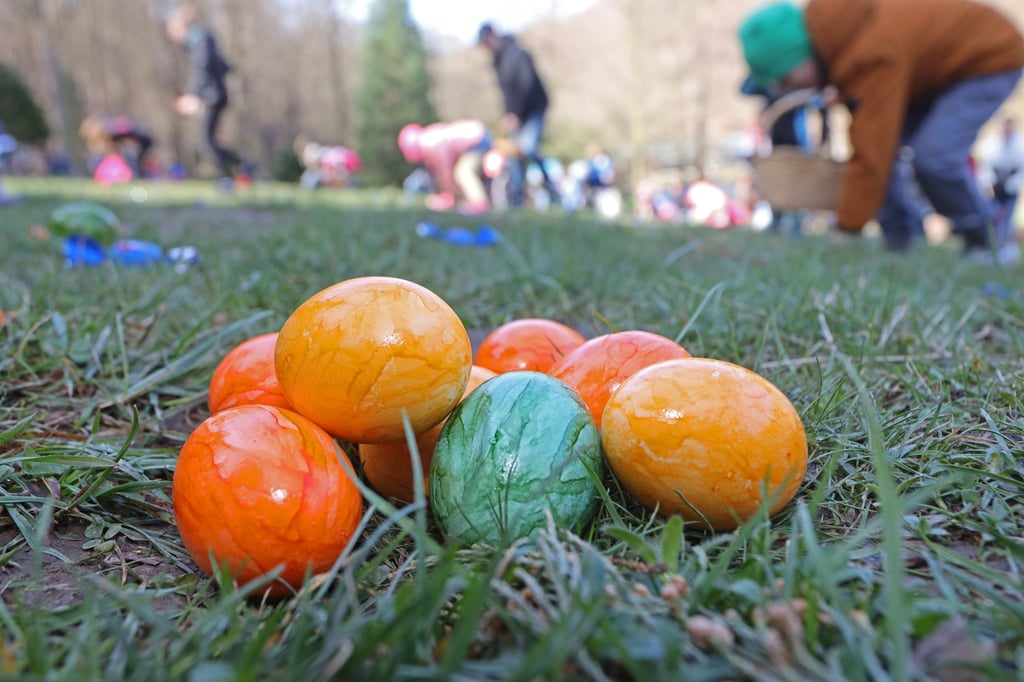 Bunte Ostereier liegen auf einer Wiese im Wildpark Christianental. Auch in diesem Jahr findet am Ostersonntag, den 9. April wieder das traditionellen Ostereiersammeln in Wernigerode im Christianental statt.