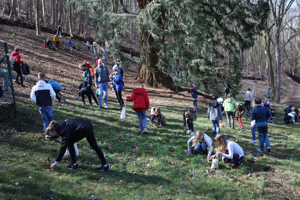 Bei strahlendem Sonnenschein nutzten viele Besucher und Gäste die Gelegenheit am Ostersonntag für einen Ausflug. Im Wildpark Christianental wurde zum traditionellen Ostereiersammeln eingeladen.