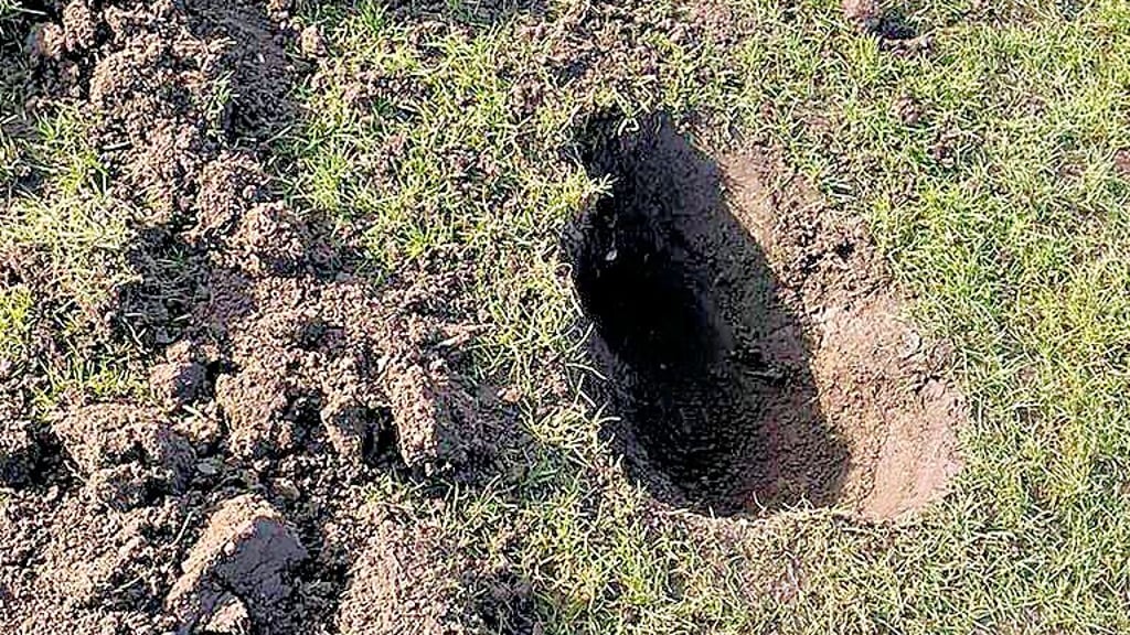 Die Täter schnappten sich Schaufeln und gruben mehrere Löcher.