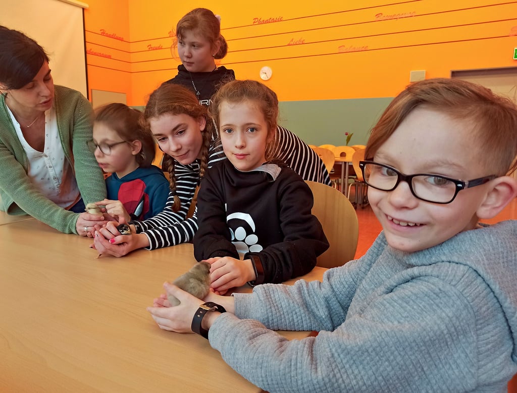 Ganz vorsichtig hielten Vanessa, Michelle, Ella, Arjona und Pascal die Küken, die bald wieder zu ihrem Züüchter Axel Hauff zurückkehren und später auf Zuchtausstellungen zu sehen sein werden.
