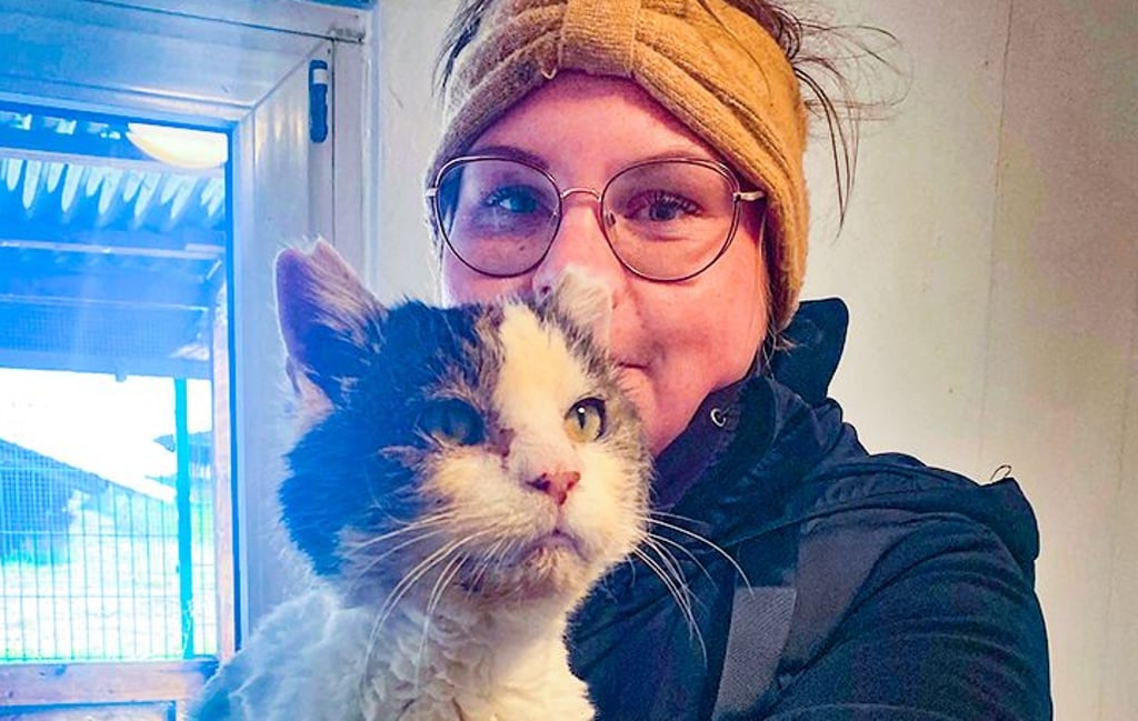 Walter ist ein sehr zahmer Kater, der sogar auf seinen Namen hört.
