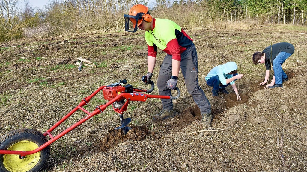 Lehrling Niklas Paysen vom Forstbetrieb unterstützte die Sechstklässler Milan und Mailon mit dem Erdbohrer bei der Pflanzaktion der Sekundarschule „Salziger See“ in Röblingen.