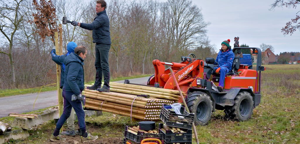 Die Elbaue rund um den Ihleburger Reitplatz wird seit Jahren mit Unterstützung der Volksbank Jerichower Land mit Eichen begrünt. Dafür legten sich in den vergangenen Jahren der Reitverein und örtliche Heimatverein mächtig ins Zeug.
