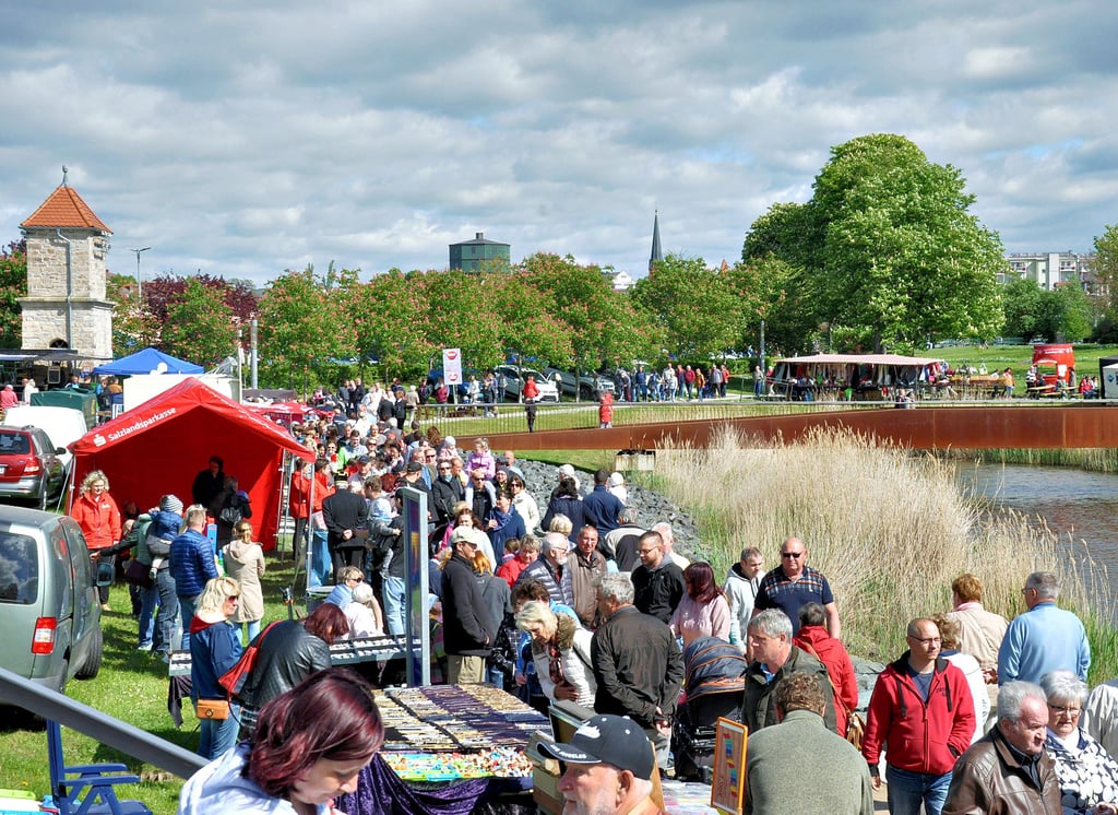 Eines der großen Feste, die der Gewerbeverein Staßfurt für die Salzstadt, ihre Einwohner und Gäste organisiert, ist das Kirschblütenfest – ein riesiges Familienfest am Stadtsee. In diesem Jahr ist es bereits die achte Auflage.