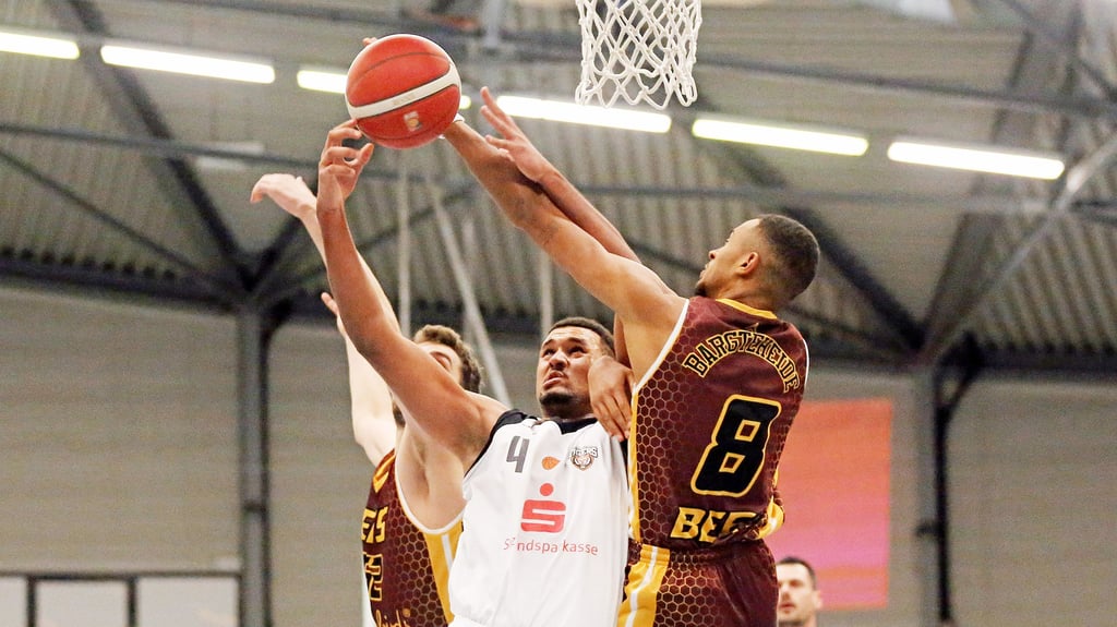 Mit seinem neuen Team Berlin Braves kehrt der Ex-Tigers-Spieler Noah Litzbach am Samstag nach Aschersleben zurück.