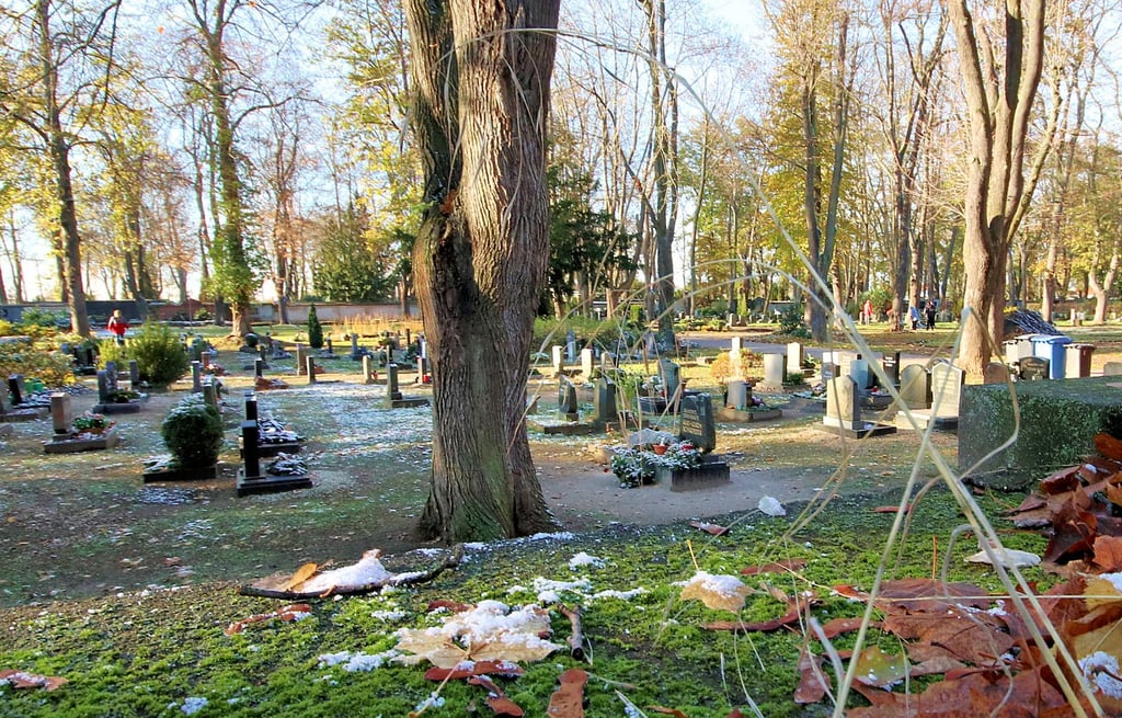 Zwei neue Grabfelder will die Stadt demnächst nutzen. Dafür muss zunächst die Friedhofssatzung verändert werden.