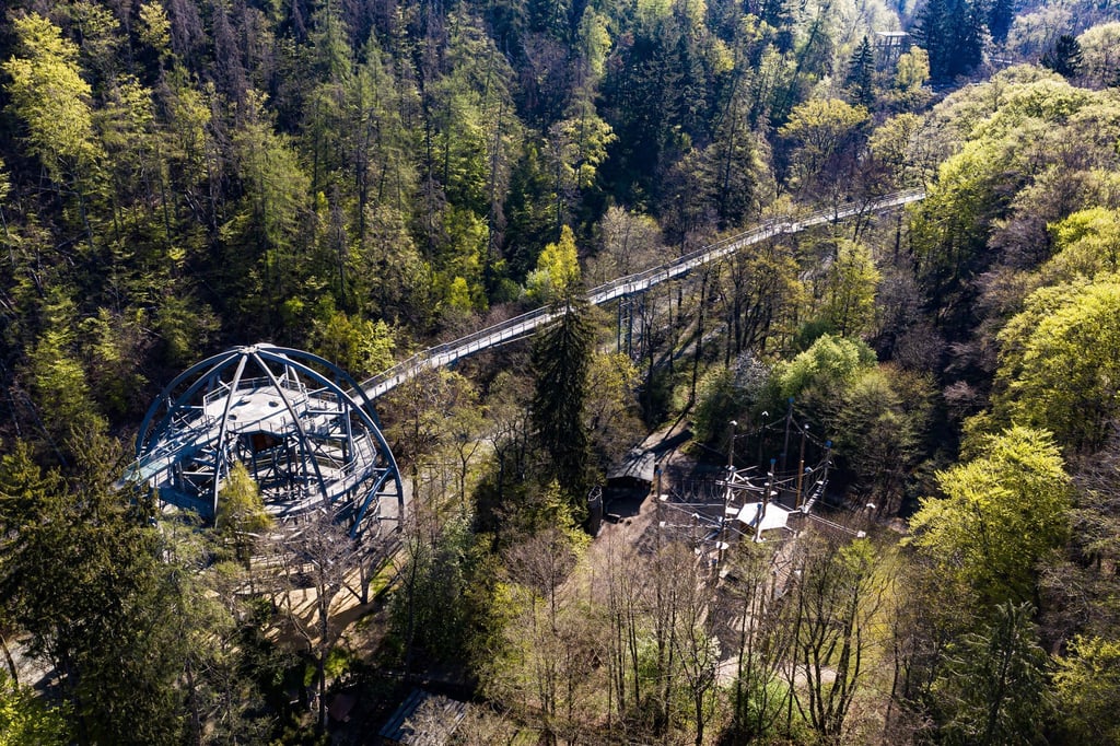 Blick auf den Baumwipfelpfad Harz.