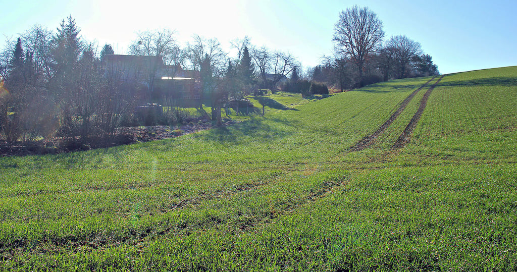 Sonne über der Siedlung und der Waldkoppel (Ackerfläche): Das Licht soll nach dem Willen des Vorhabenträgers auf knapp sechs Hektar eingefangen werden.