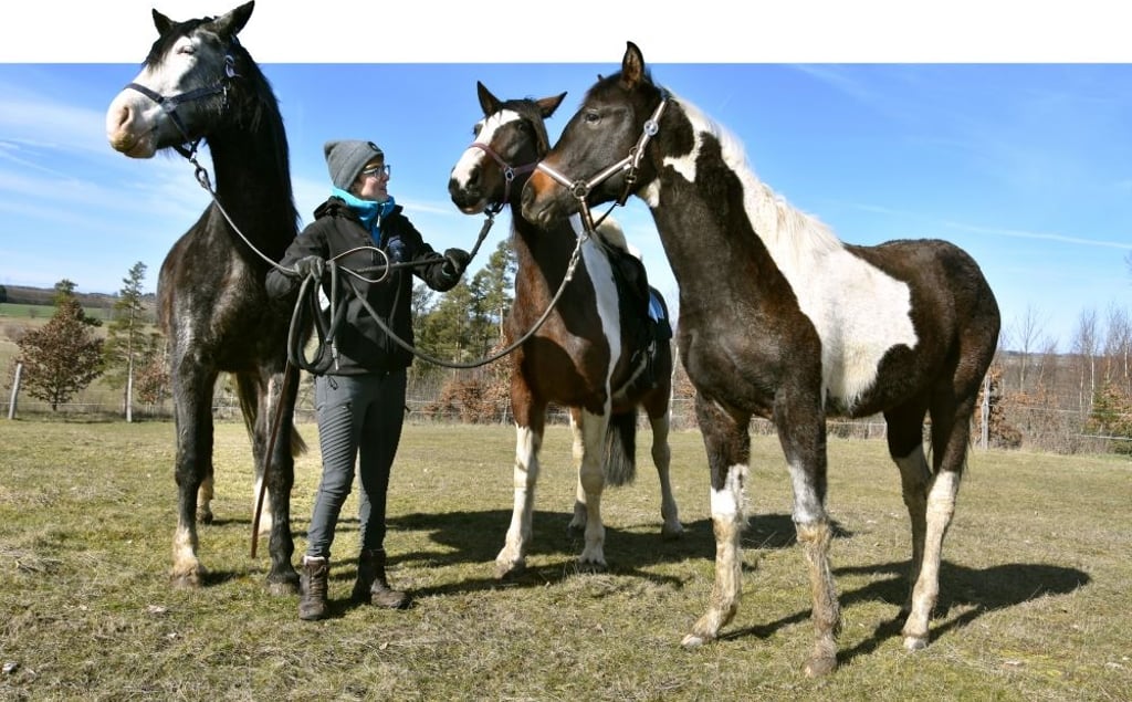 Laura Unger aus Hasselfelde lädt zum Wanderreiten im Harz ein. Ihre Pferde Lagarta, Picasso und Sunny sind teilweise mit von der Partie.