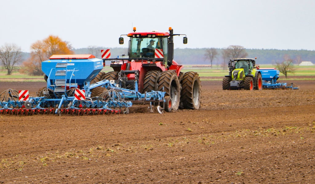 Auf einem Feld bei Buschkuhnsdorf werden Erbsen gedrillt.