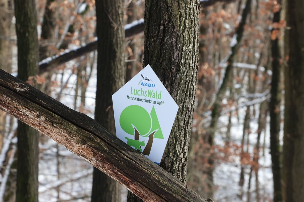 Ein Hinweisschild auf den Luchswald hängt an einem Baum im Dorlewald.