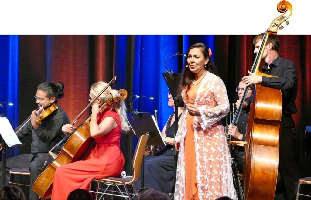 Das Wiener-Walzer-Orchester gastiert in der Johanniskirche.