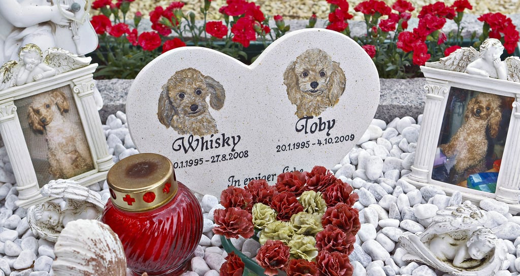 Haustiere Oschersleben: Tierbestattung: Was tun, wenn das Haustier in Haldensleben stirbt?