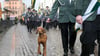 Ein Hund läuft beim Festumzug zum 33. Verbandstag des Landesschützenverbandes durch die Innenstadt.