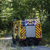 Immer wieder muss die Freiwillige Feuerwehr Blankenburg in den Wald bei Heers ausrücken, um dort kleinere illegale Lagerfeuer zu löschen.