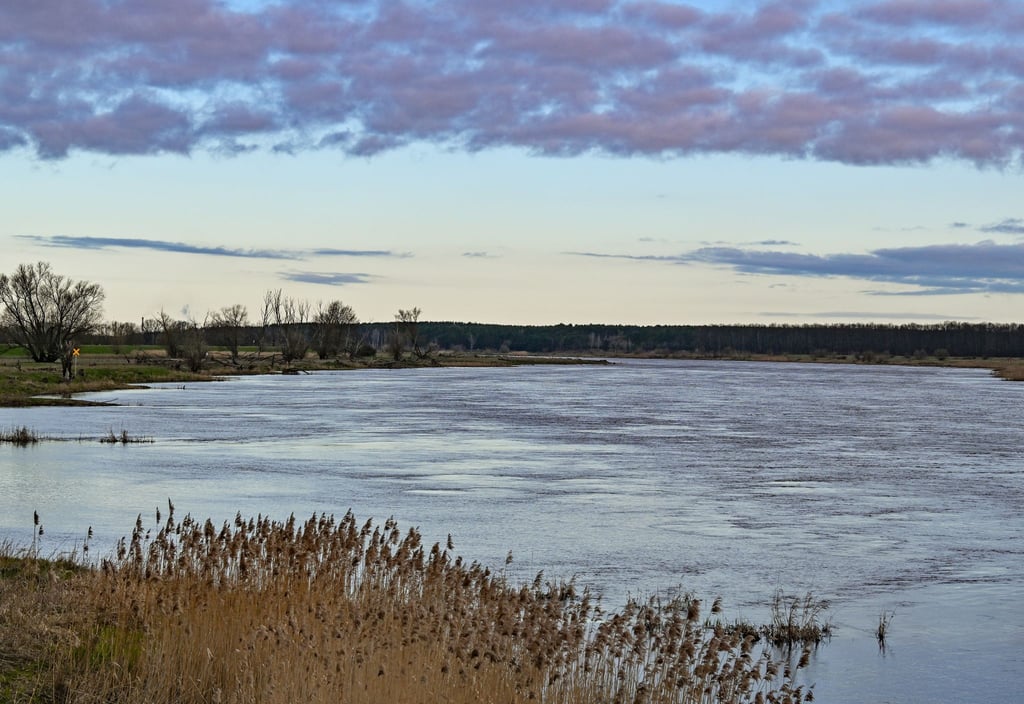 Der deutsch-polnische Grenzfluss Oder.