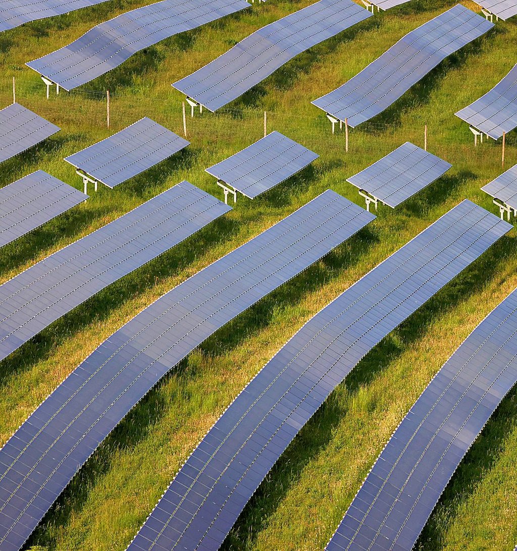 Für den Solarpark „Schwiesau-Süd“ gab es im Stadtrat nicht einen Befürworter.
