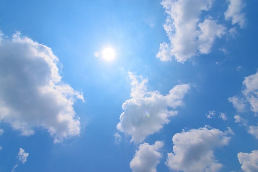 Mit Hilfe der Sonne grünen Strom gewinnen: das möchte ein Quedlinburger Unternehmen, das an der Autobahn eine Photovoltaikanlage bauen möchte.