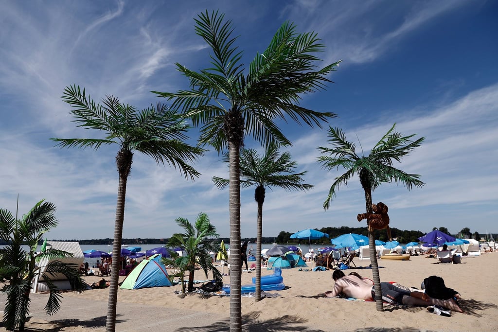 Badegäste liegen neben Palmen in der Sonne am Sandstrand im Strandbad Wannsee auf.