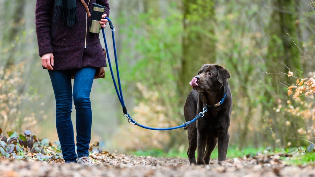 Eine Frau geht mit ihrem Hund spazieren.