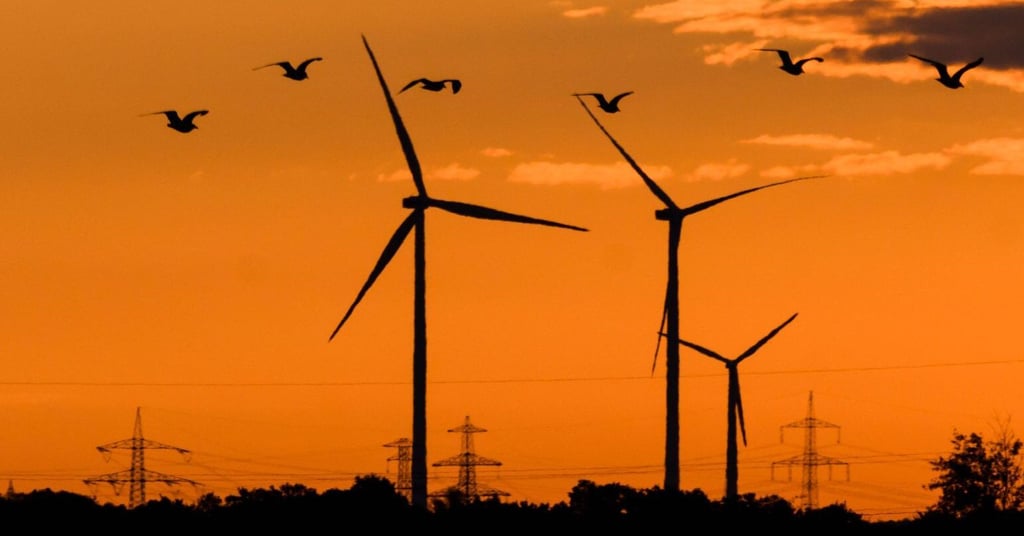 Auf ihrem Weg nach Süden fliegen Zugvögel an vielen Windrädern vorbei. Ein Zusammenstoß mit den Rotorblättern der Kraftanlagen ist für einen Vogel meistens tödlich.