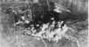 Eine Luftaufnahme vom Angriff auf den Bahnhof in Salzwedel im Februar 1945. Es sollten nicht die letzten Bomben auf die Hansestadt im Norden Sachsen-Anhalts bleiben.