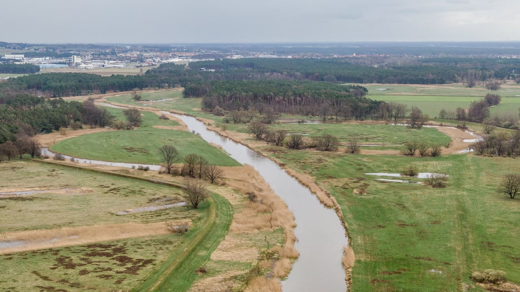 Die Schwarze Elster westlich von Jessen – zukünftig soll der Fluss wieder durch die Doppelschleife Kienbergwasser geleitet werden.