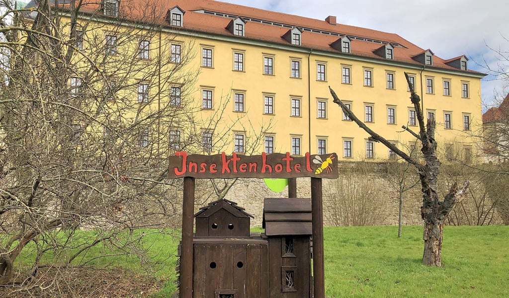 Der Schlosspark Moritzburg Zeitz startet an diesem Samstag in die Saison 2023.