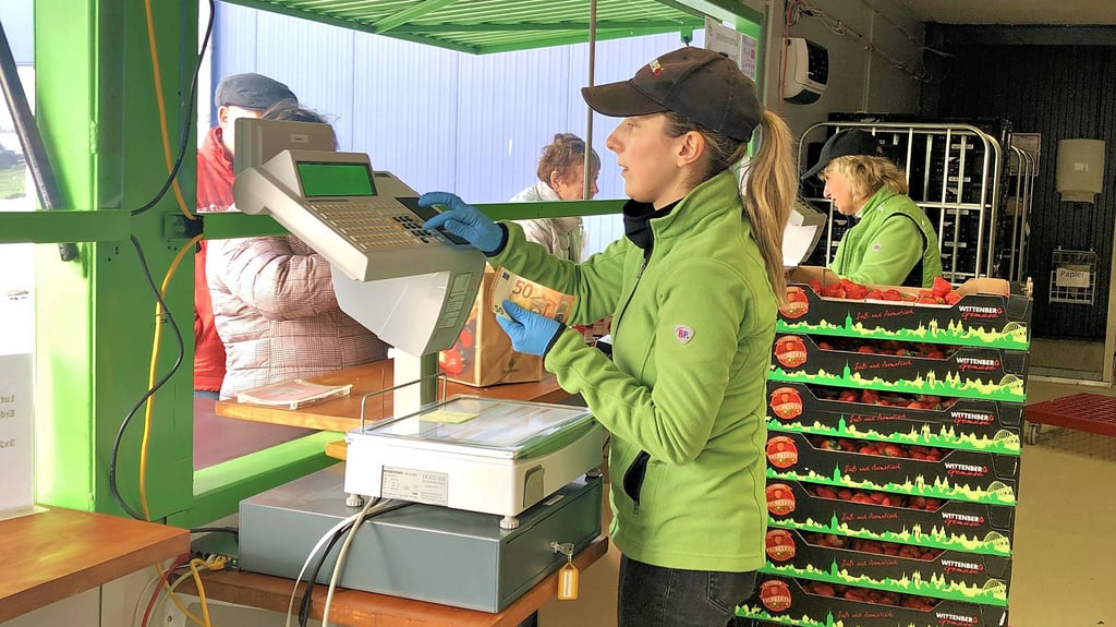 Erster Tag des Werksverkaufs in diesem Jahr. Wittenberg Gemüse startet in die Saison. Die Kundschaft freut es.