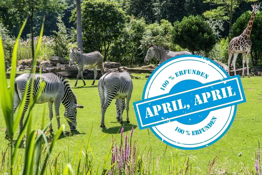 Aprilscherz für Merseburg