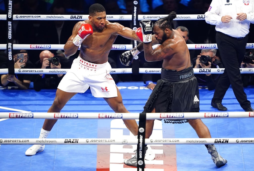 Jermaine Franklin (r) musste sich Anthony Joshua letztlich geschlagen geben.