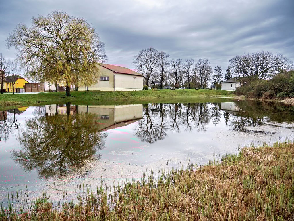 Der Ladeburger Dorfteich führt so viel Wasser wie seit über sechs Jahren nicht mehr.