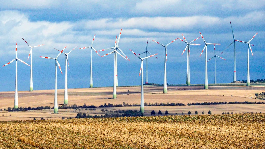 Einige Windräder im Windpark Druiberg bei Badersleben sollen in absehbarer Zeit erneuert werden.