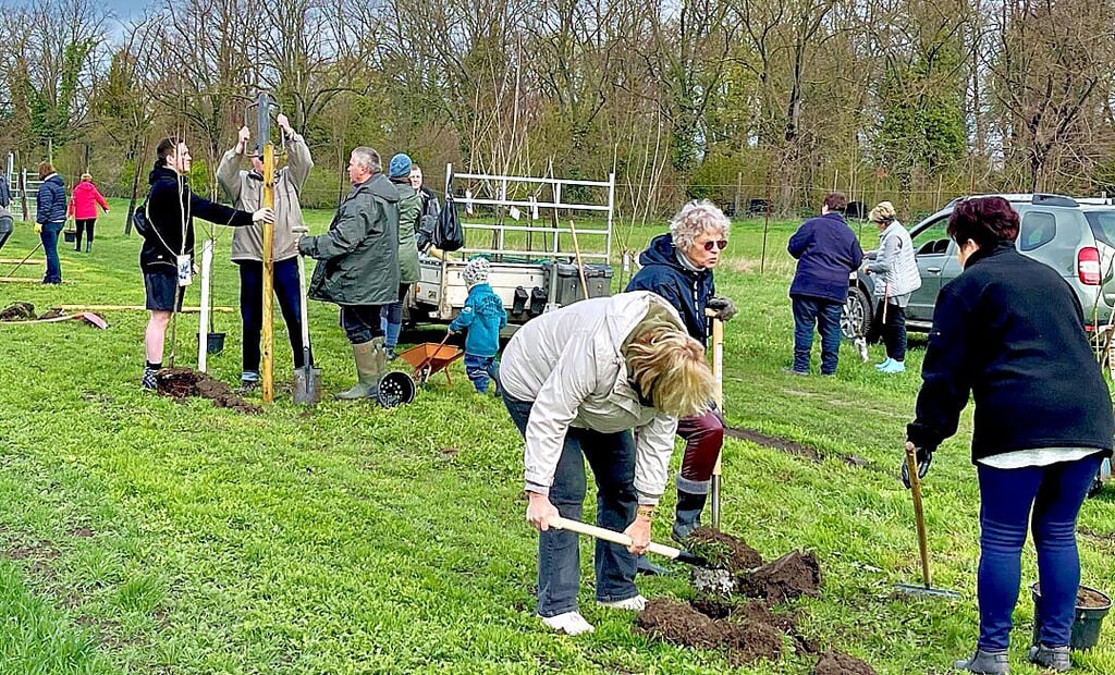 Mit großer Begeisterung starteten die Harsleber eine Baumpflanzaktion.