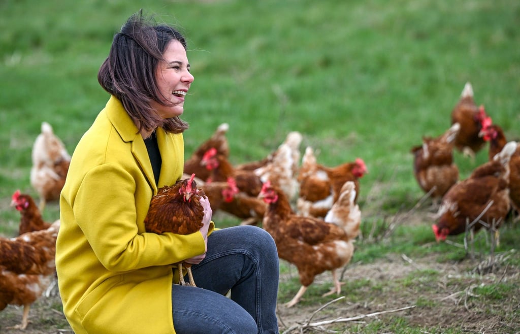 Außenministerin Annalena Baerbock (Bündnis 90/Die Grünen) lacht auf einer Wiese mit einem Huhn auf dem Arm.