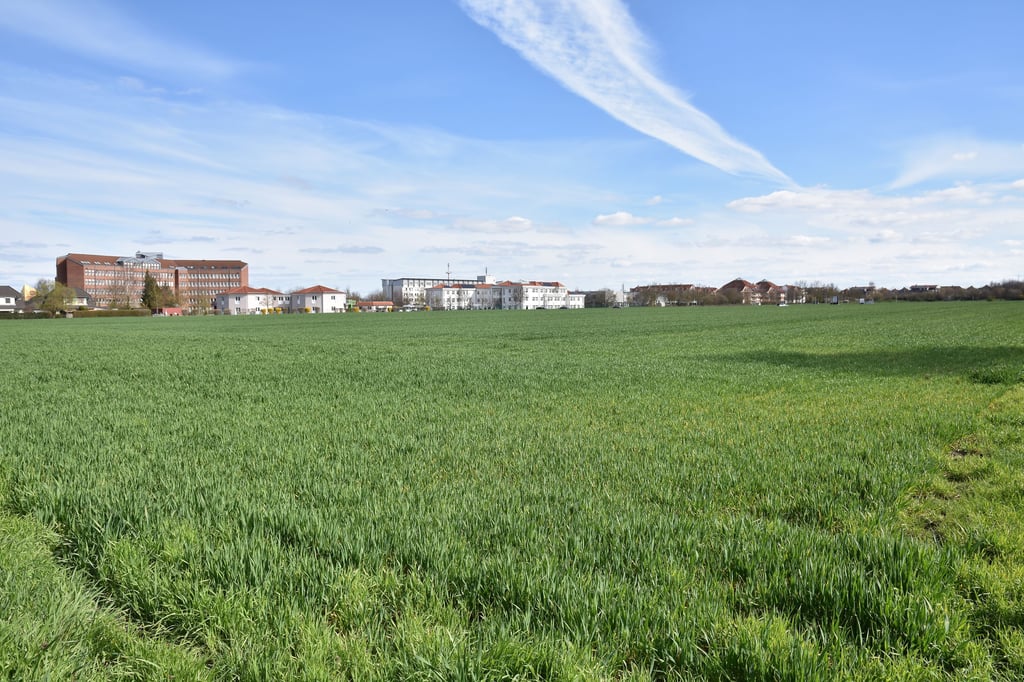 Auf diesem Acker am Doctor-Eisenbart-Ring in Magdeburg könnten neue Wohnhäuser entstehen.