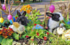 Osterstimmung mit Küken und Hasen im Stendaler Tiergarten gibt es am Ostersonntag.