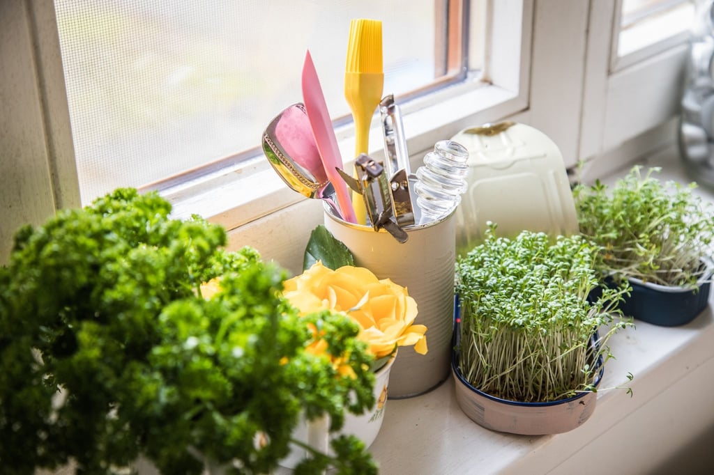 Mit Kräutertöpfchen von der Fensterbank hat man immer schnell ein paar zusätzliche Aromen für Gerichte zur Hand. Aber bitte nicht zu klein schneiden. Dabei gehen Aromen verloren.